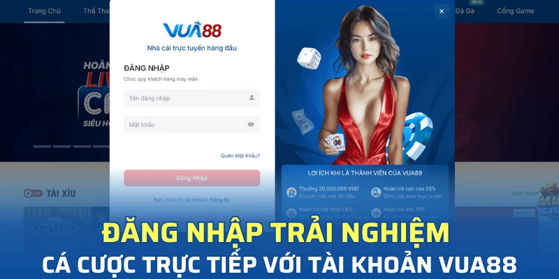 quy trinh dang nhap vua88